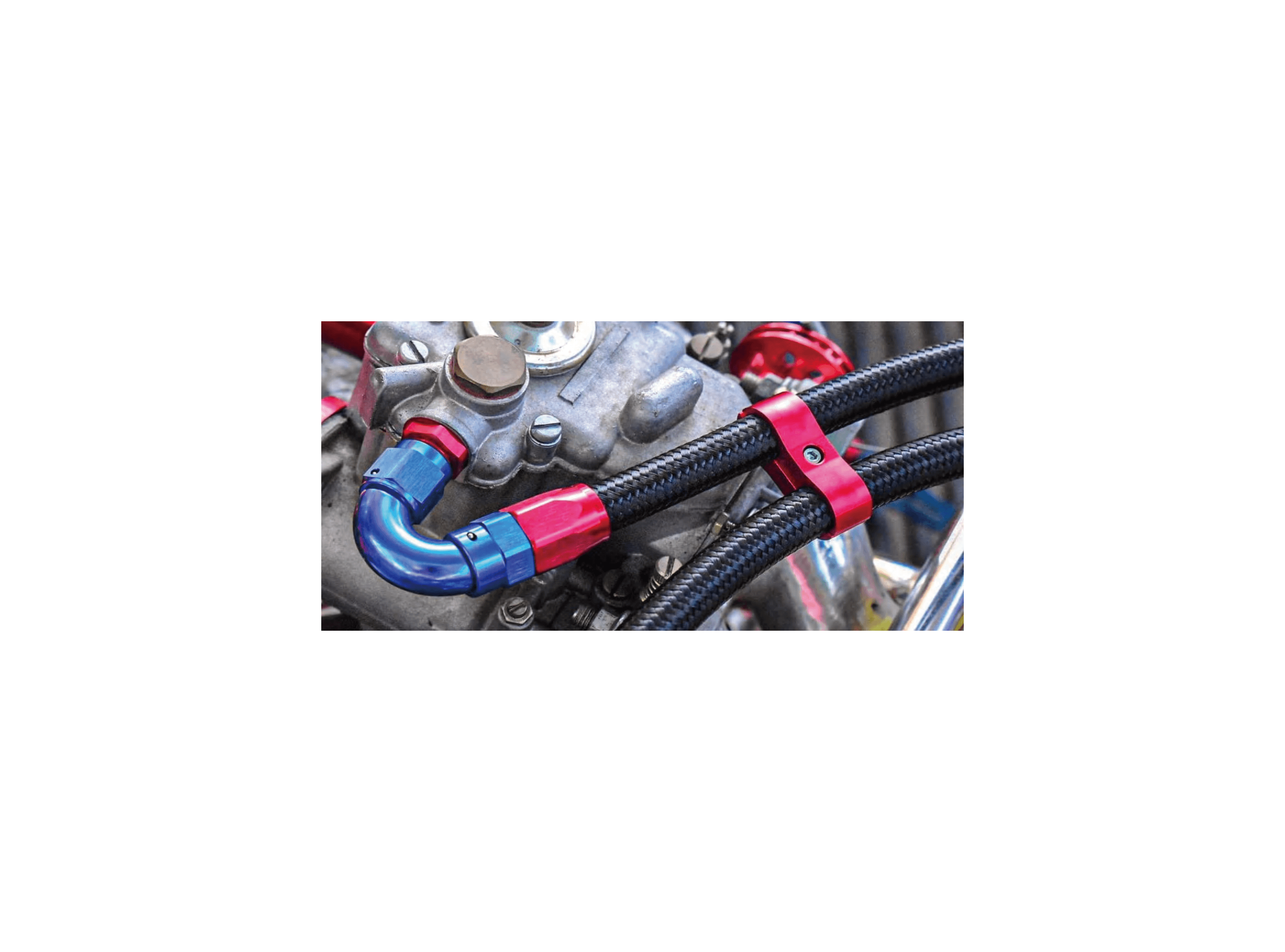 Revoluzion Nylon PTFE SS Braided Hose AN-4